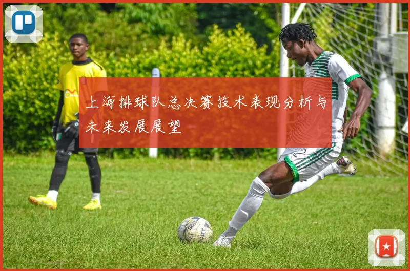 上海排球队总决赛技术表现分析与未来发展展望