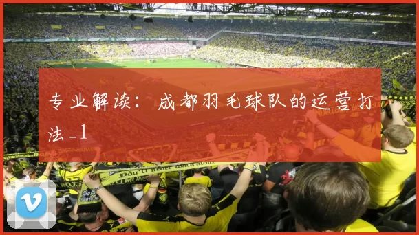 专业解读：成都羽毛球队的运营打法_1