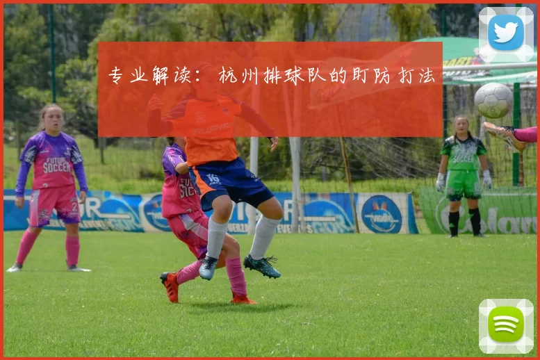 专业解读：杭州排球队的盯防打法